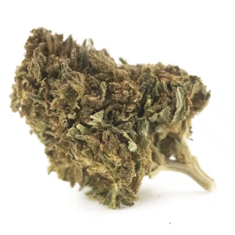 Dank Bud - Cannabis